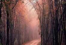 杏彩体育：记者：图多尔执教尤文前半个赛季工资为万欧.