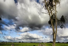 脾气不小！任骏威质疑裁判漏判犯规怒吼吃T.