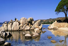 广东广州豹客场发威，2-0战胜大连鲲城喜迎两连胜.